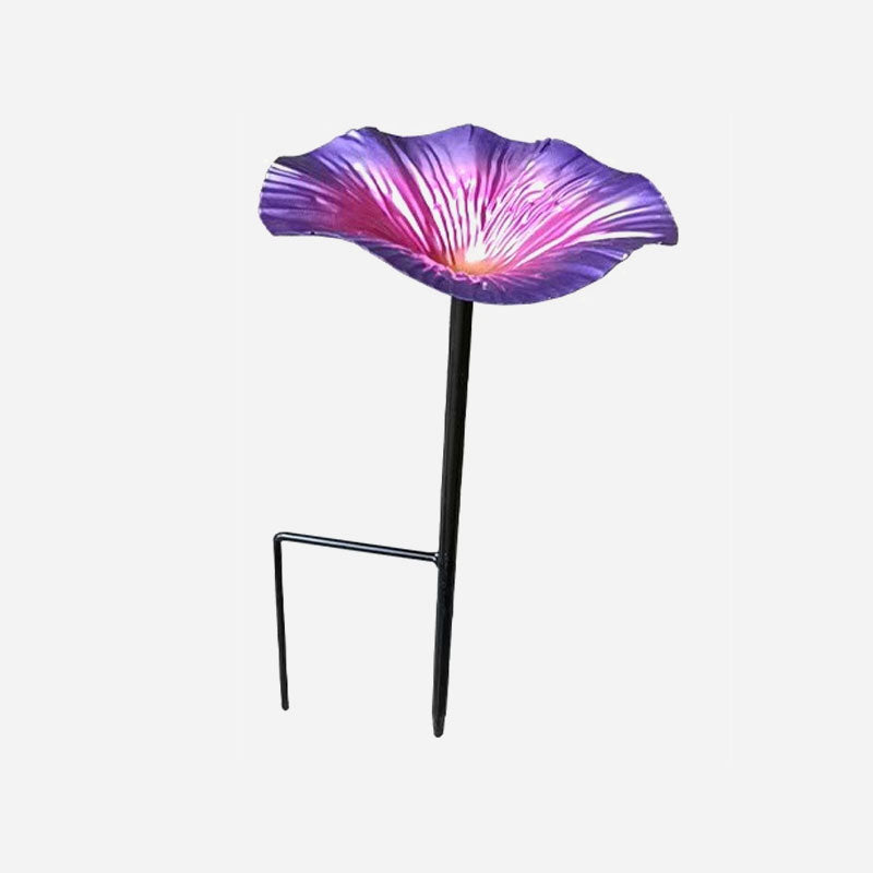 Bird Feeder