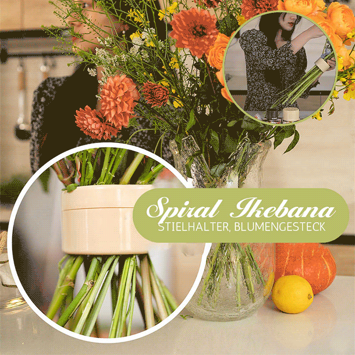 Spiralformad ikebana-stjälkhållar