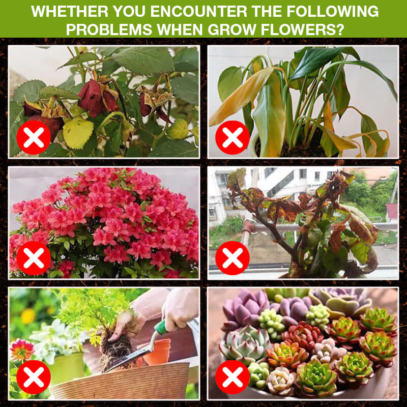 Kosttillskott för att öka växttillväxten