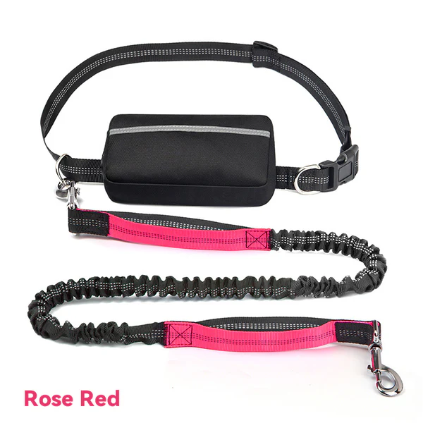 Löparmidjeväska med koppel för hund