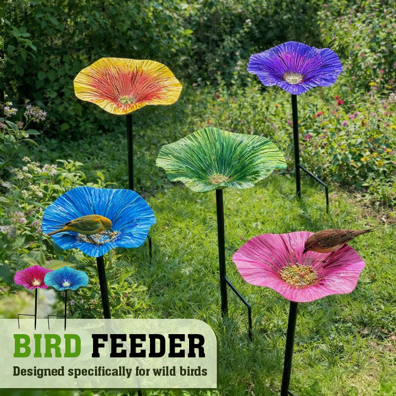 Bird Feeder