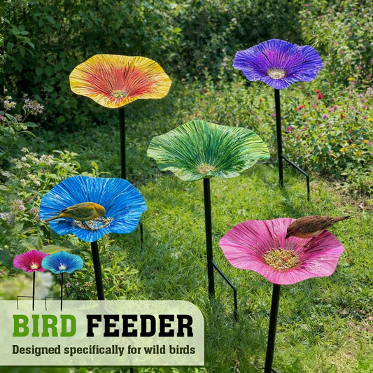 Bird Feeder