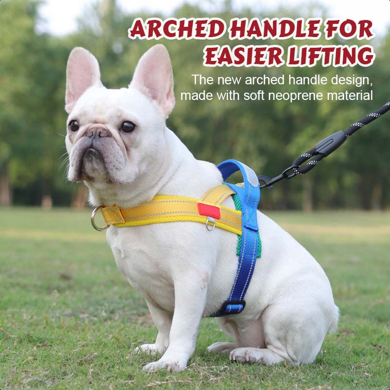 Hundsele + gratis koppel 1,5 m x 1,0