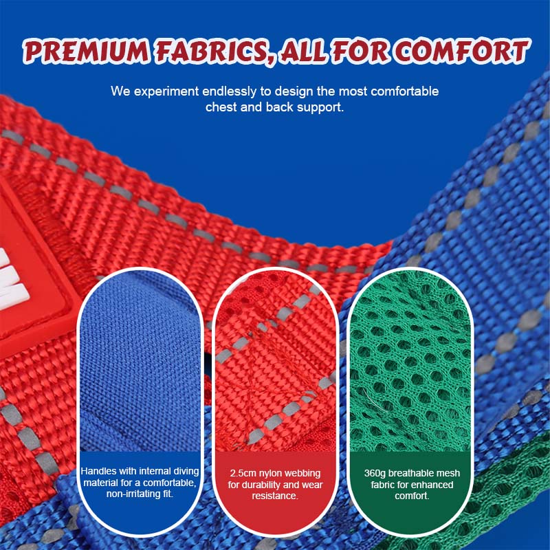 Hundsele + gratis koppel 1,5 m x 1,0