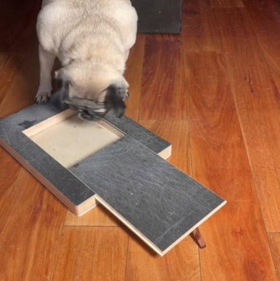 Träklösare för hunda