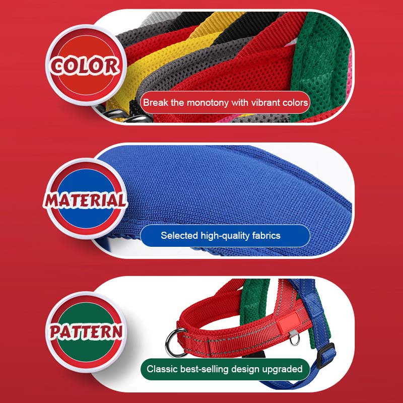 Hundsele + gratis koppel 1,5 m x 1,0