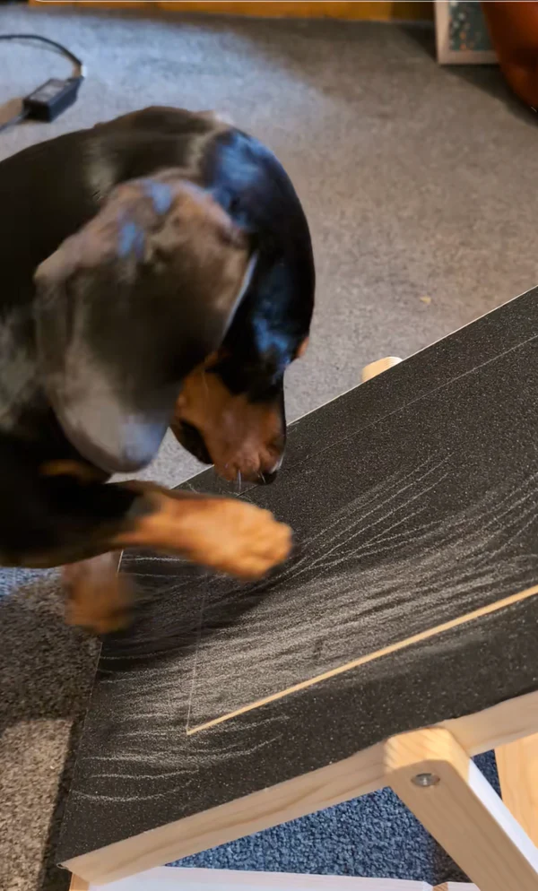 Träklösare för hunda