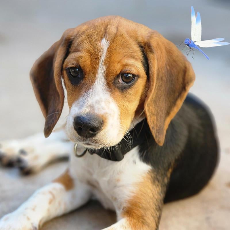 🔥3-pack trollsländeklämmor för metspö, utomhu