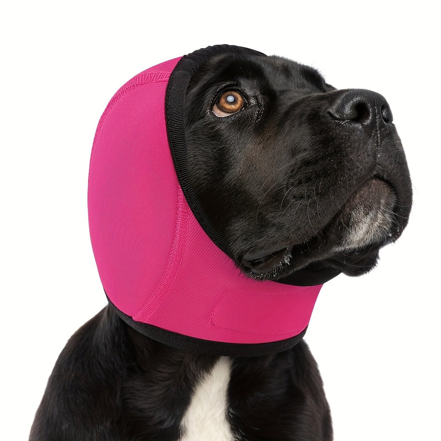 🐶 Lugnande huvtröja med öronskydd för hundar, vattentät badmössa för hundar