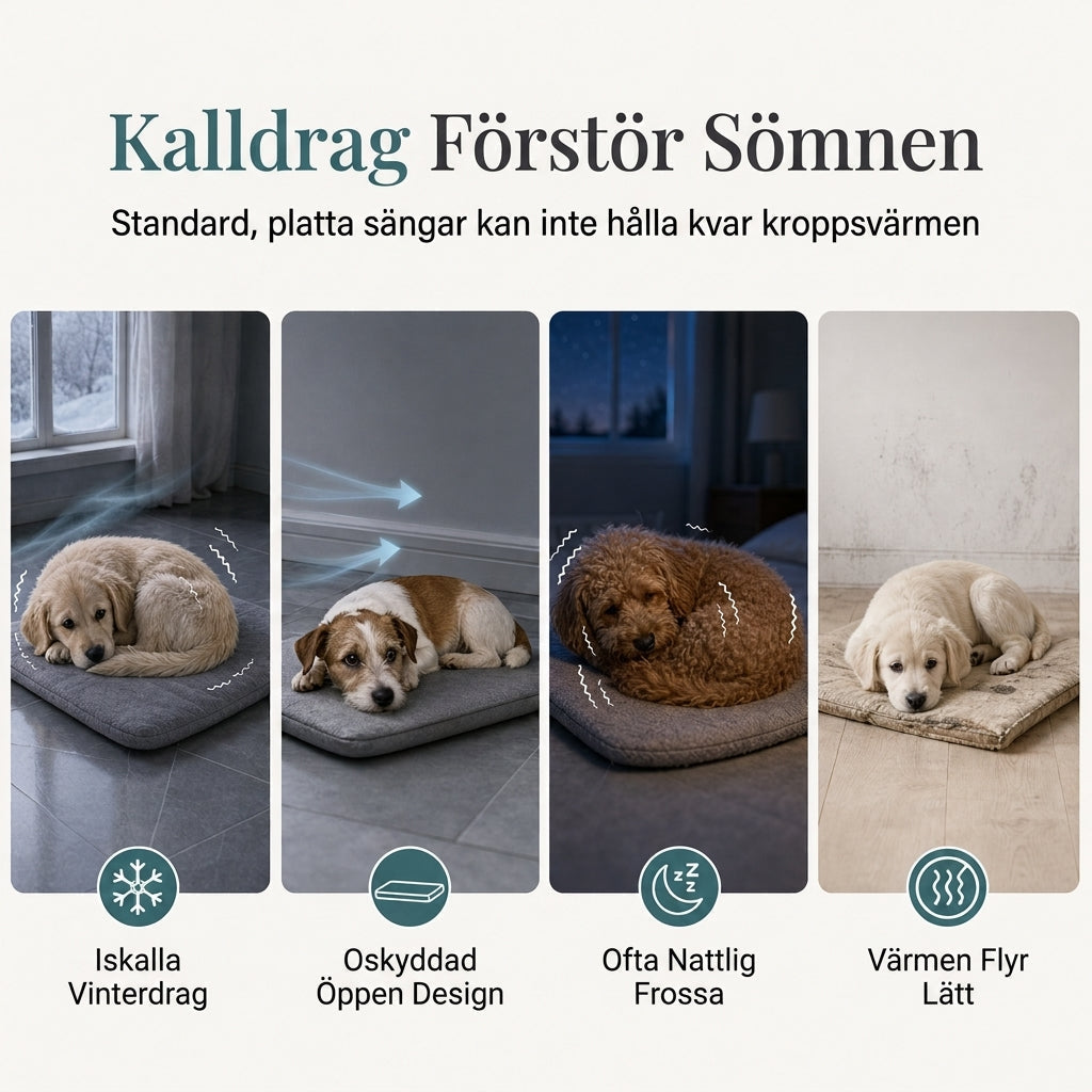 ✨50% RABATT NU! !✨🐱Halvsluten varm sovsäck, mjuk djupsovande grottbo för husdjur med täcke för katter och små hundar